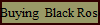 Buying  Black Rose